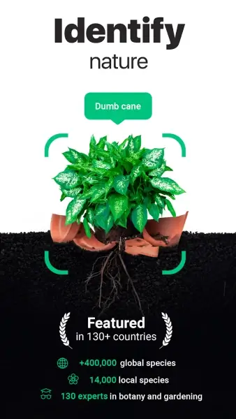 NatureID - Plant Identifier MOD